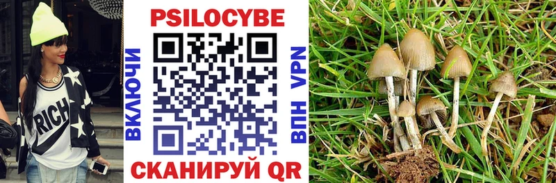 Псилоцибиновые грибы мицелий  Чёрмоз 